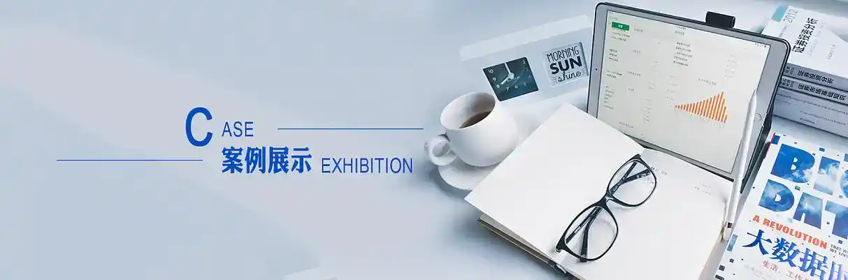 巴马瑶族自治县软件开发